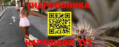 стафф Донецк