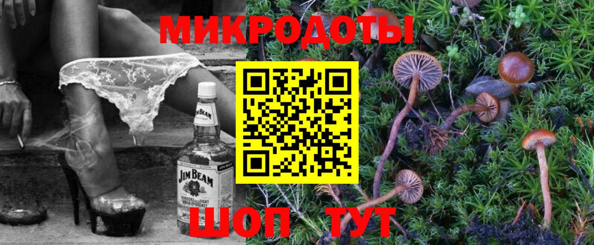 Междуреченск  где купить наркоту  Вход с VPN  Псилоцибиновые грибы Psilocybe  Псилоцибиновые грибы Cubensis 
