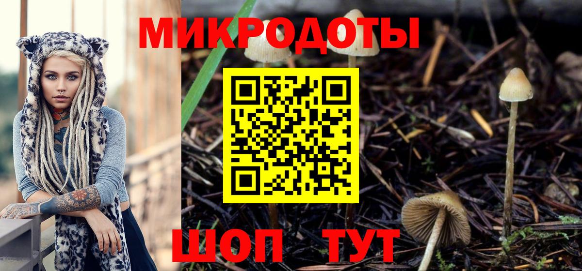 Галлюциногенные грибы Magic Shrooms Междуреченск